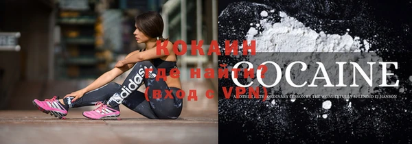 a pvp Няндома