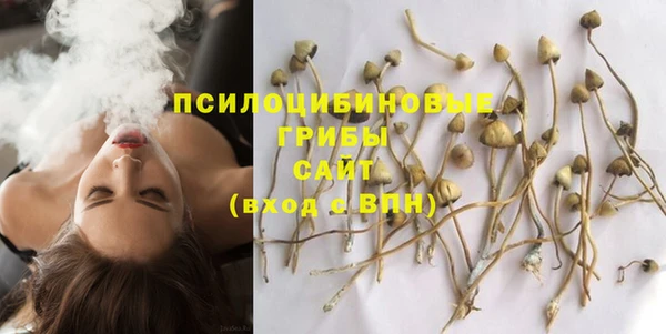 МДПВ Остров