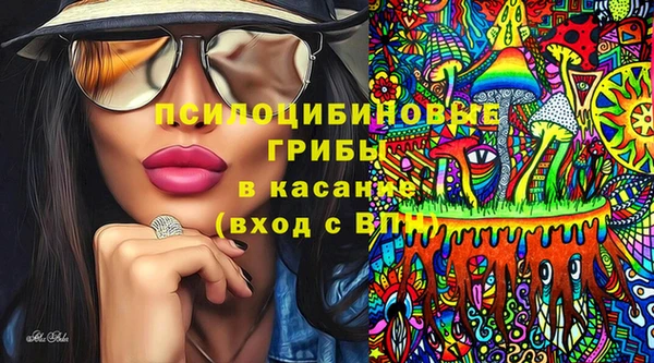 дурь Нягань