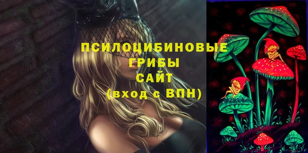 a pvp Няндома