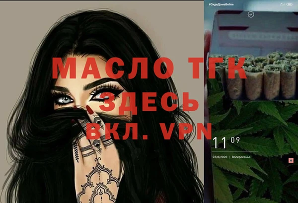гашик Бикин