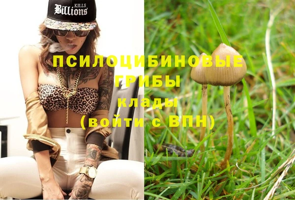 дурь Нягань