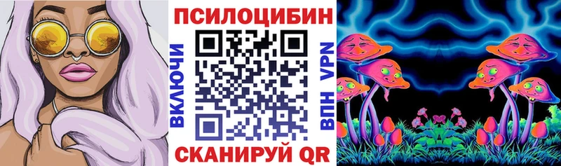 Купить  Дорогобуж  Галлюциногенные грибы Cubensis 